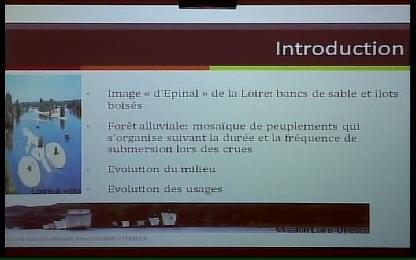 Evolution de la gestion et appropriation des forêts alluviales ligériennes - Territoires forestiers, territoires des forestiers ?