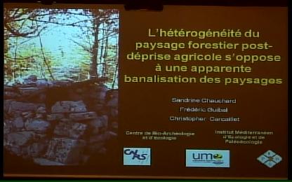 Paysage forestier post-déprise agricole : hétérogénéité ou banalisation du paysage ?  -  Les forêts entre nature et société