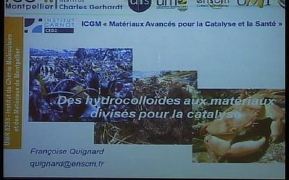 Des catalyseurs en sucre ? - Des hydrocolloïdes aux matériaux divisés pour la catalyse