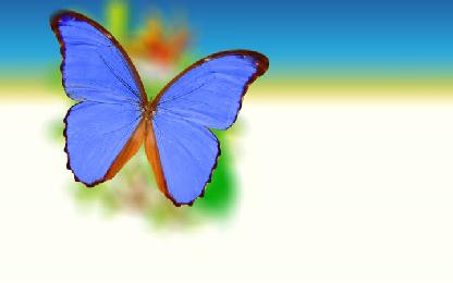 D&#8217;où vient la couleur des ailes de papillon ?