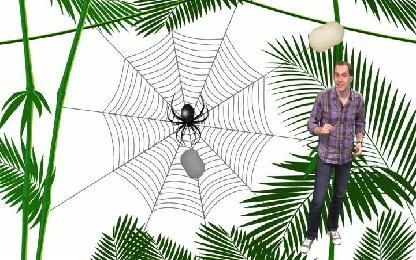 Pourquoi la toile d‘araignée est-elle si solide ?