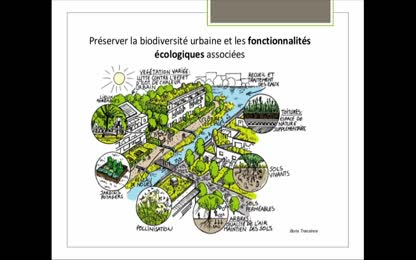 La biodiversité en ville : à quoi ça sert ? que peut-on faire ?
