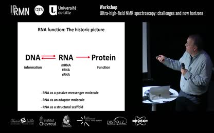 Unraveling the structure, function and dynamics of RNA with high-field NMR-spectroscopy in solution 