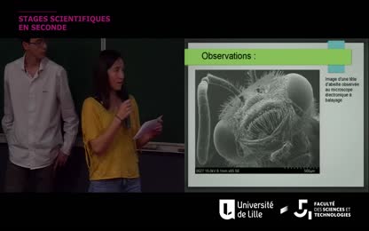 Stages de seconde à contenu scientifique : « Microscope électronique à transmission »