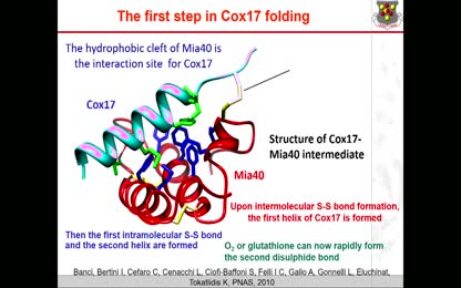 Challenges for in-cell NMR: the contribution of ultra-high-field NMR spectrometers 