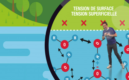 Peut-on marcher sur l’eau ? 