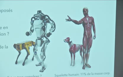Vers de nouvelles machines : les robots souples