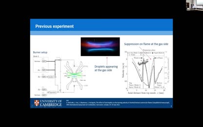 Modeling Effects of Liquid Droplets on Premixed Laminar Acetone Flames