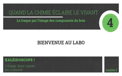 Stand 4 – Quand la chimie éclaire le vivant : La traque par l’image des composants du bois