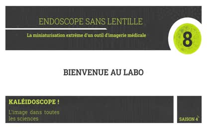 Stand 8 – Endoscope sans lentille : La miniaturisation extrême d’un outil d’imagerie médicale