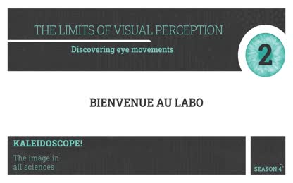 Stand 2 – THE LIMITS OF VISUAL PERCEPTION Discovering eye movements