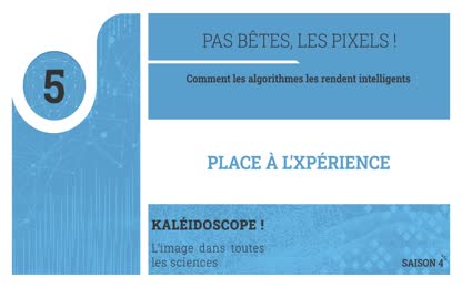 Place à l’Xpérience  – Pas bêtes, les pixels !  : Comment les algorithmes les rendent intelligents