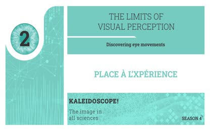 Place à l’Xpérience  – THE LIMITS OF VISUAL PERCEPTION Discovering eye movements