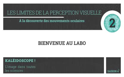 Stand 2 – Les limites de la perception visuelle : A la découverte des mouvements oculaires - Version courte