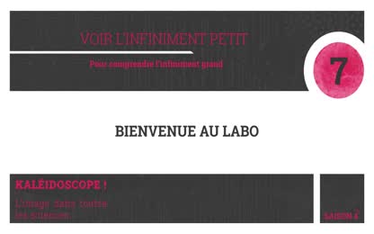 Stand 7 – Voir l’infiniment petit : Pour comprendre l’infiniment grand - Version courte